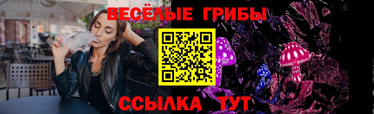 Псилоцибиновые грибы прущие грибы Людиново